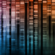 Image for article titled Is it really true that homosexuality can be explained by epigenetics?